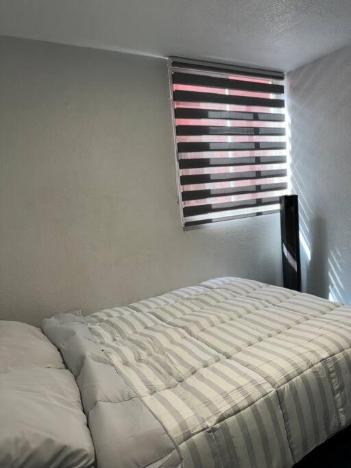 Formidable Departamento A Unos Pasos De Chapultepec Apartment *