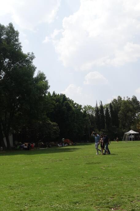 Formidable Departamento A Unos Pasos De Chapultepec Apartment Mexico City