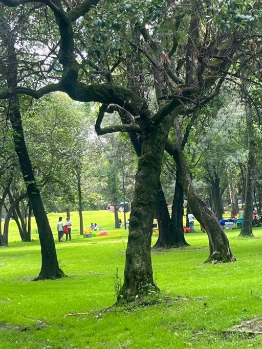 Formidable Departamento A Unos Pasos De Chapultepec