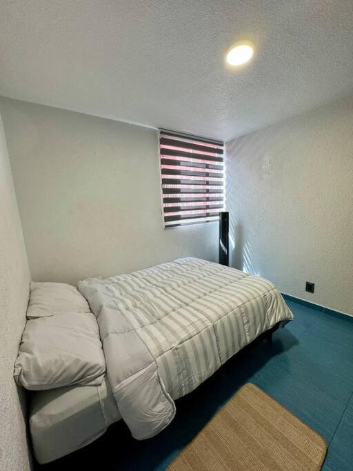 Formidable Departamento A Unos Pasos De Chapultepec Apartment *