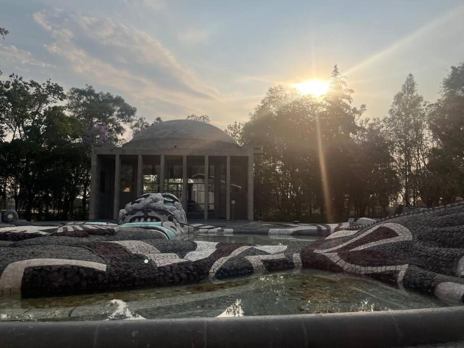Formidable Departamento A Unos Pasos De Chapultepec Mexico City
