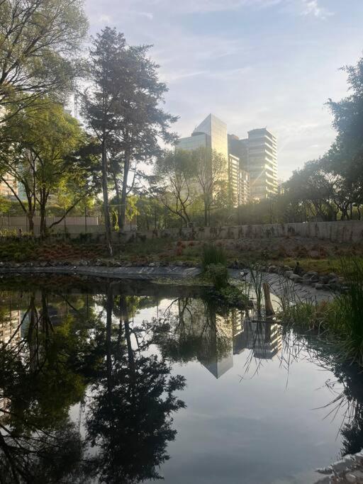 Formidable Departamento A Unos Pasos De Chapultepec